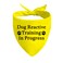 JXGZSO 1 Piece Dog Reactive Training in ProgressDog Reactive Puppy Bandana Train in Progress D