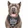 Tees & My Humans are Getting Married Wedding Annoucement Dog Bandana Black OS 224 GB