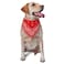 Yilad Red Paisley Dog Bandana Scarf Triangle Bibs Pet Accessories Cat Kerchief One Size