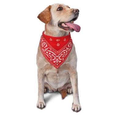 Yilad Red Paisley Dog Bandana Scarf Triangle Bibs Pet Accessories Cat Kerchief One Size