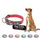 KRUZ PET Kruz Dog Collar for Small Dogs Width 58 Length 1517 Reflective Adjustable Pet Neck Band with Comfortable Neoprene Paddingg HeavyDuty ORing 100 Nylon Strap Red Small