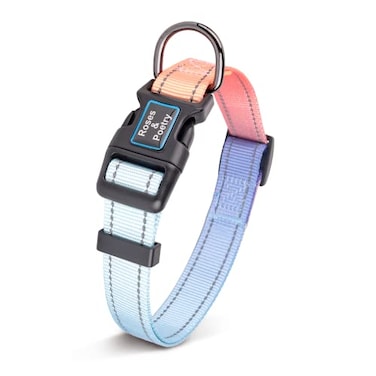 Roses&Poetry RosesPoetry Reflective Dog Collar with Gradient Azure Adjustable Durable Pet Collars for Small Medium Large Dogs AzureXS