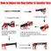 Homiego 3 Colors 3 Sizes K9 Service Dog Collar Tactical Collar Adjustable Nylon Basic Dog Collar with Reflective Patch for Small Dogs with 125155 Neck Girth S Red Collar Only