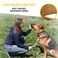 ADITYNA Heavy Duty Dog Collar for Medium Dogs Camo Collar with Handle for Training and Walking Wide Thick Tactical Soft Neoprene Padded