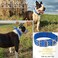 ADITYNA Heavy Duty Dog Collar for Medium Dogs Reflective Blue Collar with Handle for Training and Walking Wide Thick Tactical Soft Neoprene Padded