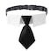 ADOGGYGO Adjustable Dog Neck Tie Collar Pet Collar with Black Necktie Wedding Formal Tux Collars for Large Dogs Pets Large