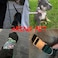 Aring pet ARING PET Dog Collar and Leash Velvet Dog Collar and Leash Set Soft Comfy Adjustable Collars for Dogs