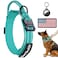 AUBELL Reflective Tactical Dog CollarAdjustable Military Heavy Duty K9 Collars with Handle and Quick Release Metal Buckle Great for Medium Dogs with Airtag Case and 2 Patches TealM