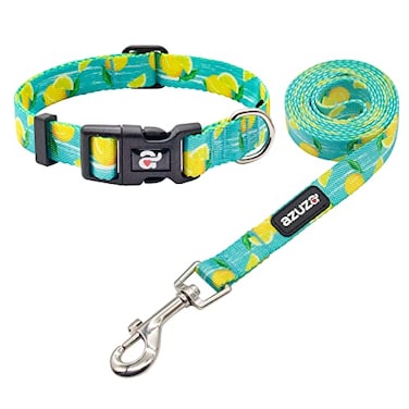 azuza Dog Collar and Leash Set Lemon Patterns on Blue Nylon Collar and Matching Leash Great Option for Medium Dogs