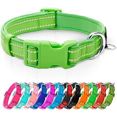 azuza Reflective Dog Collar Soft Neoprene Padded Pet Collar with ID Tag Ring Adjustable for Small DogsGreenS
