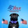 Babole Pet 4th of July Dog Collar with Bow Tie Summer Popsicle Flag Day Dog Bowtie Collars Blue Adjustable Patriotic Pet Collar for Small Medium Large Dogs M