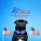 Babole Pet 4th of July Dog Collar with Bow Tie Summer Popsicle Flag Day Dog Bowtie Collars Blue Adjustable Patriotic Pet Collar for Small Medium Large Dogs M