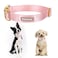 Babole Pet Nylon Dog Collar Adjustable Pink Soft Webbing Dog Collars for Small Medium Large Dogs Boy Girl Puppy Collar with Safety Metal Buckle S