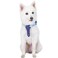 Blueberry Pet 4 Patterns Blue Hue Scottish Plaid Style Adjustable Tie Dog Collar Medium Neck 14520