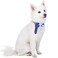 Blueberry Pet 4 Patterns Blue Hue Scottish Plaid Style Adjustable Tie Dog Collar Medium Neck 14520