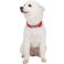 Blueberry Pet 4 Patterns Gold Metallic Thread TShape True Red Adjustable Dog Collar Large Neck 1826