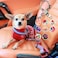 Blueberry Pet 8 Patterns Spring Scent Inspired Floral Rose Print Turquoise Adjustable Dog Seat Belt Tether for Dogs Cats Durable Safety Car Vehicle Seatbelts Leads Use with Harness