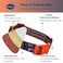 Blueberry Pet Halloween Candy Cane Adjustable Dog Collar with Detachable Glitter Accessory Large Neck 1826