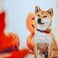 Blueberry Pet Halloween Candy Cane Adjustable Dog Collar with Detachable Glitter Accessory Large Neck 1826