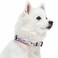 Blueberry Pet Mountain Climbing Fun Adjustable Dog Collar Large Neck 1826