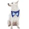 Blueberry Pet Nautical Navy Blue Sailboat Adjustable Dog Bandana Collar with Bow Tie Medium Neck 14520
