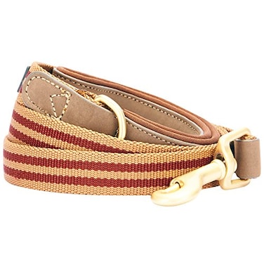 Blueberry Pet Polyester Fabric Webbing and Soft Genuine Leather Dog Leash with Soft Comfortable Handle 6 ft x 1 Red and Brown Leashes for Dogs