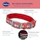 Blueberry Pet Reflective Jacquard Dog Collar with Neoprene Padding Metal Buckle Soft Adjustable Safety Collar Coral Neck 17205 for Large Breed
