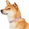Blueberry Pet Sparkling Rhinestone Adjustable Dog Collar with Metal Buckle Lavender Neck 17205 for Large Breed