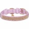 Blueberry Pet Sparkling Rhinestone Adjustable Dog Collar with Metal Buckle Lavender Neck 17205 for Large Breed