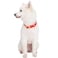 Blueberry Pet The Most Coveted Designer Mixed Metallic Thread Adjustable Dog Collar in Sparkling True Red with Metal Buckle Neck 9125 for Small Breed