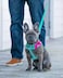 Blueberry Pet Valentines Day Dog Leash Velvety SoftTouch Heart Flocking Lead for Large Dogs Minty Green 4 ft x 1