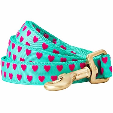 Blueberry Pet Valentines Day Dog Leash Velvety SoftTouch Heart Flocking Lead for Large Dogs Minty Green 4 ft x 1