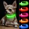 BSEEN Adjustable LED Dog Cat Collar Rechargeable Small Breeds Green 85118 inches Nylon Lightweight Reflective 2 Flash Modes