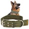 Cdycam Buckle Dog Collar 15 Wide Adjustable Nylon Military Tactical Dog Collars 2Rows D Ring Heavy Duty Dog Collar