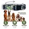 Native Pup Camo Dog Collar Small Green