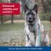 Coastal Pet K9 Explorer Brights Reflective Adjustable Dog Collar Canyon 1 x 1826
