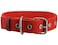 Dogs My Cotton Web Dog Collar 34 Wide Fits 1317 Neck Border Terrier Boston Terrier Spaniel