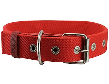 Dogs My Cotton Web Dog Collar 34 Wide Fits 1317 Neck Border Terrier Boston Terrier Spaniel