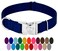 Country Brook Petz Premium Nylon Dog Collar with Metal Buckle for Small Medium Large Breeds 10 Cool Colors Medium 34 Inch Royal Blue