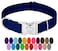 Country Brook Petz Premium Nylon Dog Collar with Metal Buckle for Small Medium Large Breeds 10 Cool Colors Medium 34 Inch Royal Blue