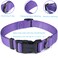 Cyclpet Premium Classic Nylon Adjustable Dog CollarsSoft and Smooth Regular 34 Inch Wide Dog Collars with Quick Release Buckle for Medium Dogs WalkingTraining Medium Ultra Violet