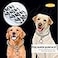 DAFUMOLOUS Dog Collars Martingale Collar Adjustable Metal Dog Necklace Collar for Small Dogs 18in25mm