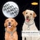 DAFUMOLOUS Dog Collars Martingale Collar Adjustable Metal Dog Necklace Collar for Small Dogs 18in25mm