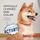 DC Comics DC Wonder Woman Dog Collar Medium Officially Licensed DC League of SuperPets Collar with DRing for Leash