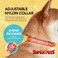 DC Comics DC Wonder Woman Dog Collar Medium Officially Licensed DC League of SuperPets Collar with DRing for Leash