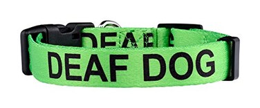 Native Pup Deaf Dog Collar Hard of Hearing Warning Small