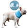 DELIFUR Dog Instant Cooling Bandana Pet Breathable Scarf Cats Ice Collar for Summer Blue M