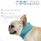 DELIFUR Dog Instant Cooling Bandana Pet Breathable Scarf Cats Ice Collar for Summer Blue M