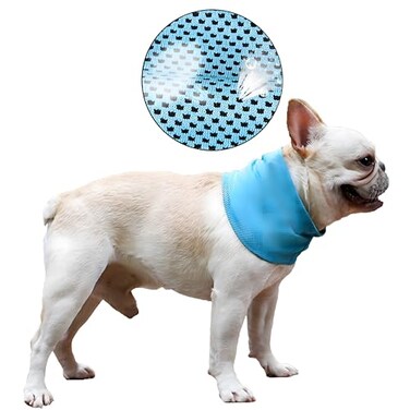 DELIFUR Dog Instant Cooling Bandana Pet Breathable Scarf Cats Ice Collar for Summer Blue M