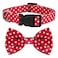Native Pup Dog Collar with Bow Tie Premium Cute Bowtie Nylon Polka Dot Christmas American Flag Halloween for Girl or Boy Adjustable Medium Red Polka